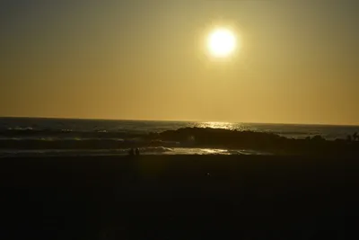 DSC_7292 (Large).JPG